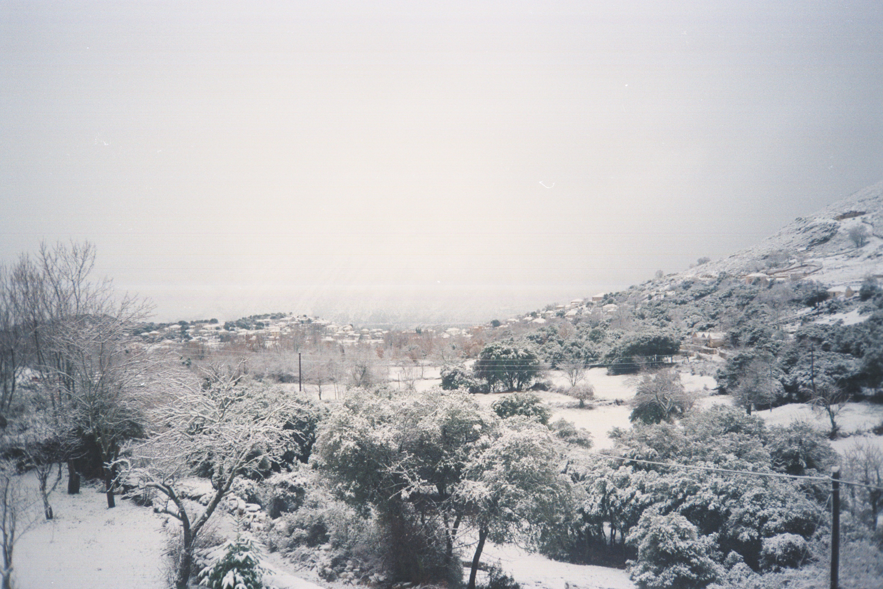 07.jpg