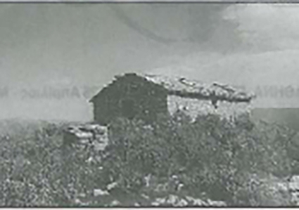 ailias